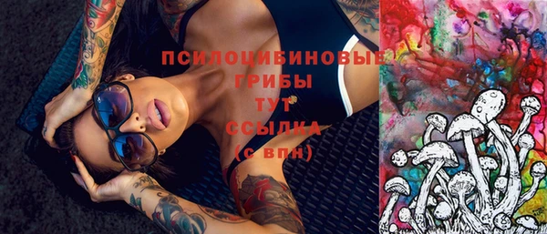 Альфа ПВП Магадан