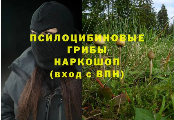 трава Майский