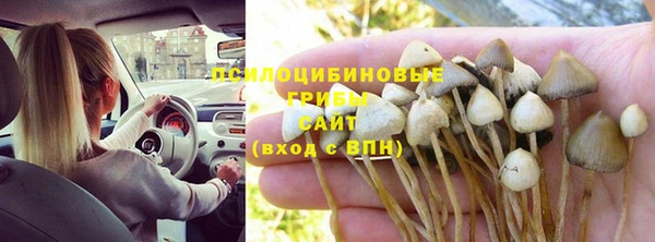 трава Майский